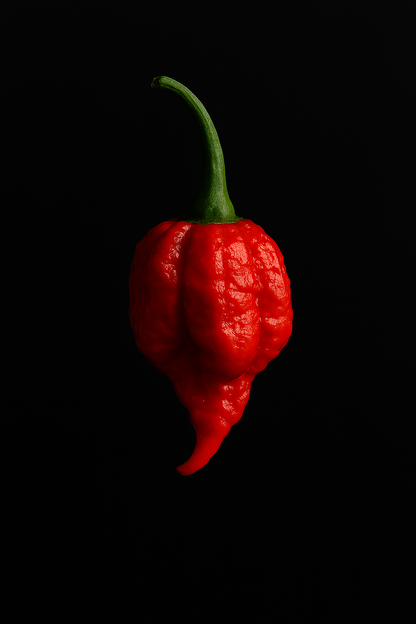 Scorpions Kiss Mango Carolina Reaper Sauce