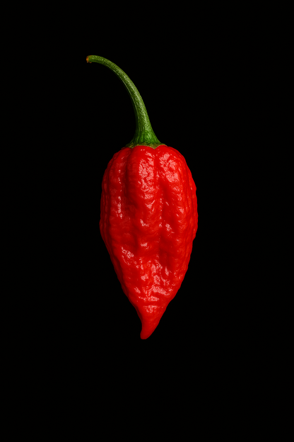 Scorpions Kiss Ghost Pepper Chilli Salt